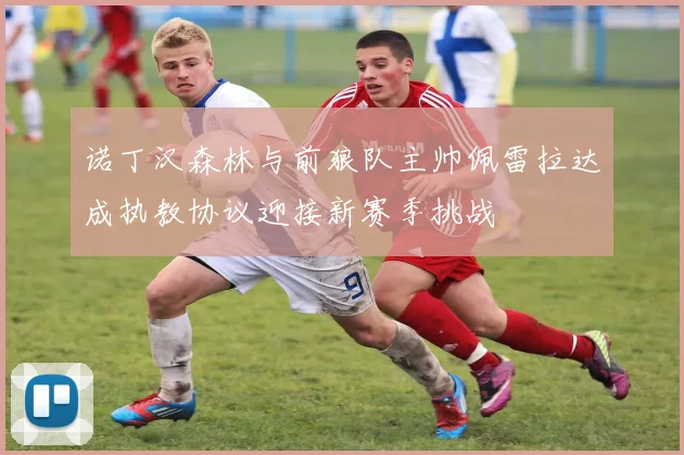 诺丁汉森林与前狼队主帅佩雷拉达成执教协议迎接新赛季挑战