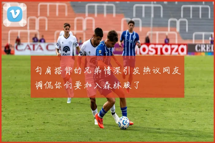 勾肩搭背的兄弟情深引发热议网友调侃你们要加入森林狼了